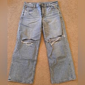 American Eagle Outfitters Light Blue Denim Shorts